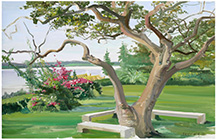 “阳光城市”中国著名油画家走进东莞